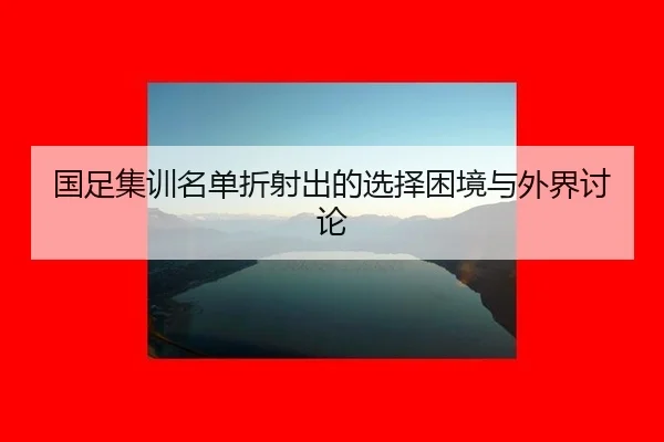 国足集训名单折射出的选择困境与外界讨论